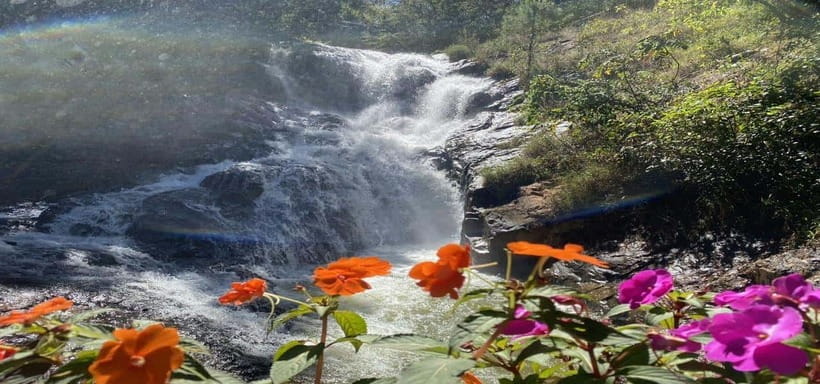 From Nha Trang: Best Seller Top Site Luxury Da Lat City Trip - Bao Dai Palace and Vietnam’s final imperial chapter