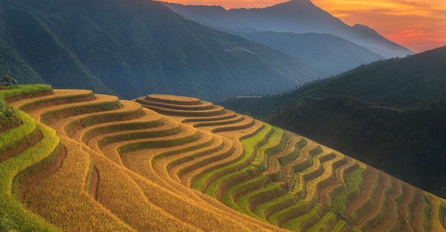 From Sapa: 1-Day Guided Trek to Lao Chai & Ta Van with Lunch - Quick facts that matter
