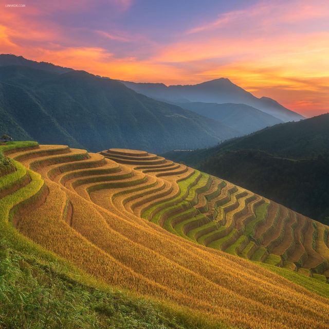 From Sapa: 1-Day Guided Trek to Lao Chai & Ta Van with Lunch - Starting in Sapa between 9:00 and 9:30