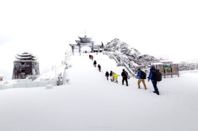 1-Day Guided Trek to Lao Chai & Ta Van with Lunch