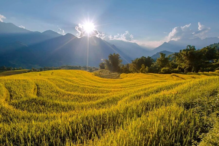 From Sapa: 1-Day Guided Trek to Lao Chai & Ta Van with Lunch - Ta Van and the Zay tradition of incense