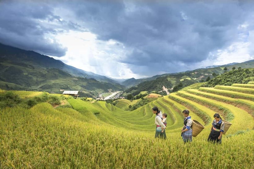 From Sapa Homestay Hideaway 2-Day Local Life Adventure - Arriving in Ta Van for lunch and a private room
