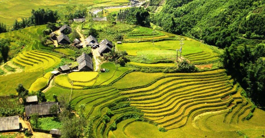 From Sapa: Terrace Fields and Local Villages Trek with Lunch - Key points to know before you book