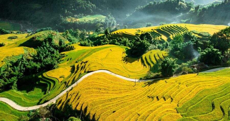 From Sapa: Terrace Fields and Local Villages Trek with Lunch - Reaching Lai Chai and learning village customs