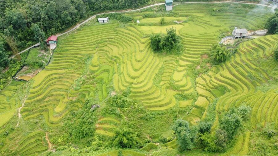 From Sapa: Terrace Fields and Local Villages Trek with Lunch - The waterfall stop and the physical side of the route