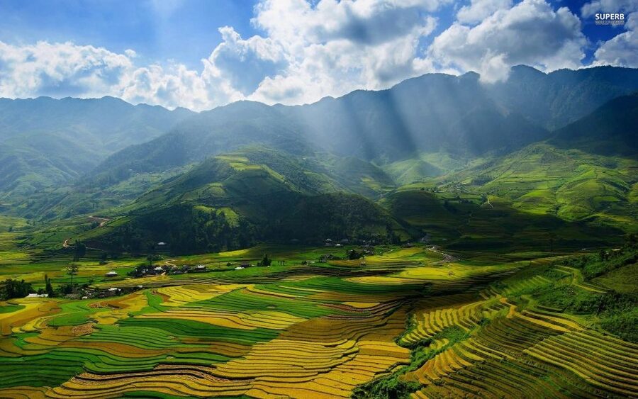 From Sapa: Terrace Fields and Local Villages Trek with Lunch - Local lunch after the walk