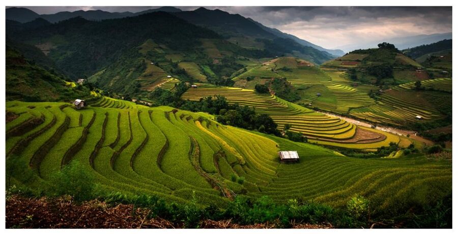 From Sapa: Terrace Fields and Local Villages Trek with Lunch - The 8:00 to 8:45 pickup through Sapa Town