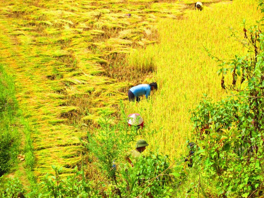 From Sapa: Waterfalls, Trekking and Tribal Villages Tour - Who should book this Sapa tour?