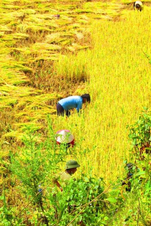 From Sapa: Waterfalls, Trekking and Tribal Villages Tour - Ban Khoan begins the quieter part of the day