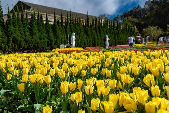 Full day Ba Na Hill with Cable Car and Lunch from Da Nang - L’Jardin, French relics, and Linh Ung Pagoda