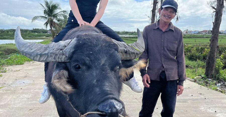 Funny day cycling, Buffalo riding and Basket boat - Key points to know before booking