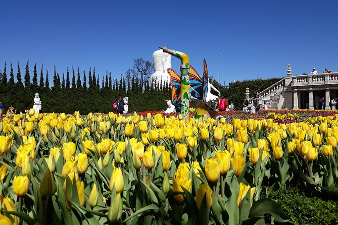 Golden Hand Bridge And Ba Na Hills tour from Hoi An/ Da Nang - What the $50 price really includes