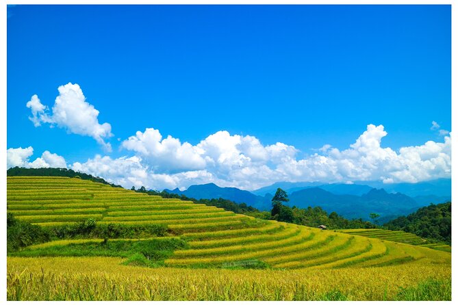 Ha Giang Loop 2D/1N Private Room + Free Dorm Hotel 1N before tour - Day one: from Ha Giang City to the Hmong highlands