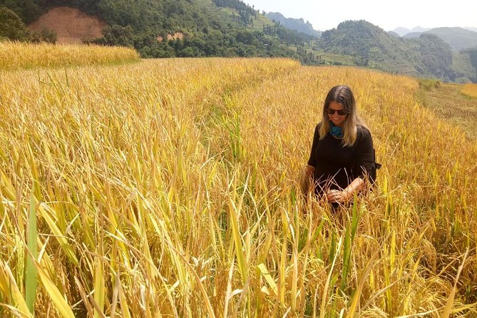 Ha Giang loop 3 or 4 Days, Small Group Tour (within easy riders) - Day 1: Quan Ba, village roads, and Du Già waterfall