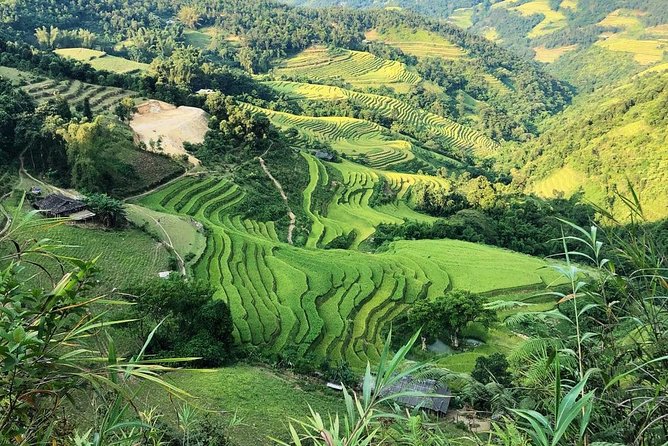 Ha Giang Loop Private Motobike Tour - 4 Days and 3 Nights! - Day 4: Linen making, Lung Khuy Cave, and the road back