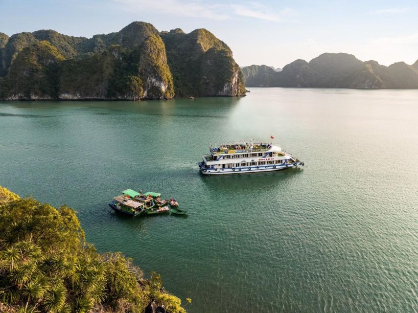 Ha Long: Afternoon Cruise with Lunch, Kayaking, and Swimming - Who will enjoy this cruise most?