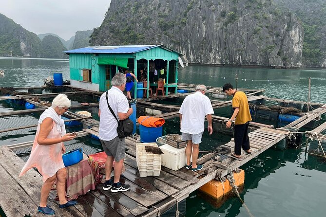 Ha noi: 3D- Halong, Lan ha bay classic cruise, Ninh Binh full day - Ha Long Venezia and the First Afternoon on Lan Ha Bay