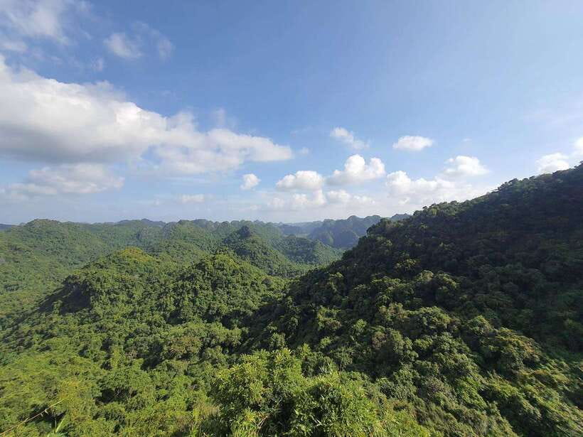 Half Day Hiking to Cat Ba National Park with a Guide - Key points to know before booking