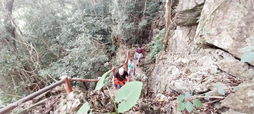 Half Day Hiking to Cat Ba National Park with a Guide - The best time and the main trade-offs