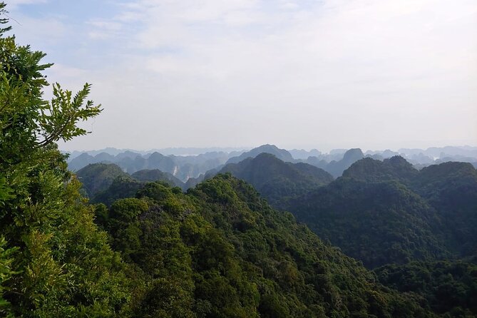 Half Day Hiking to Discover Cat Ba National Park with a Guide - Key Points Before You Book