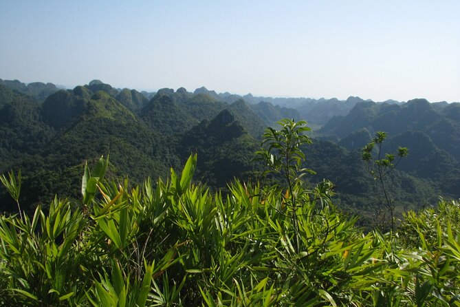 Half Day Hiking to Discover Cat Ba National Park with a Guide - Trung Trang Cave and the Sound of Falling Water
