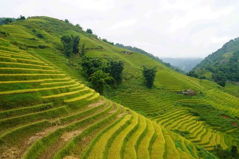 Half Day Sapa Trekking to Visit Lao Chai - Ta Van - Why this four-hour Sapa trek is worth your morning