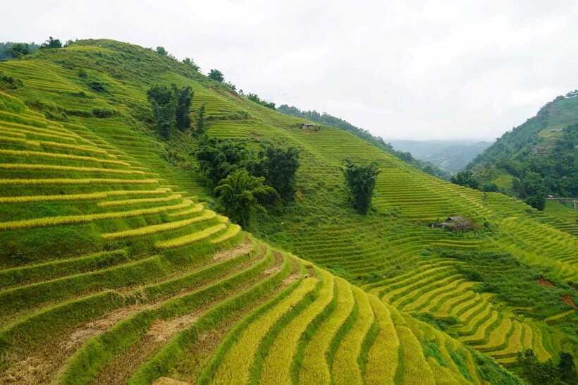 Half Day Sapa Trekking to Visit Lao Chai - Ta Van - Ta Van and the Dzay village visit