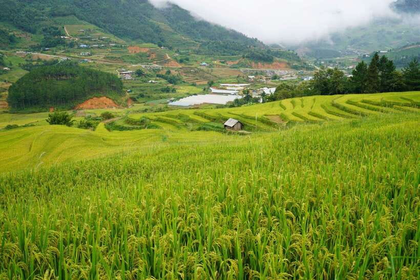 Half Day Sapa Trekking to Visit Lao Chai - Ta Van - What the weather does to the experience