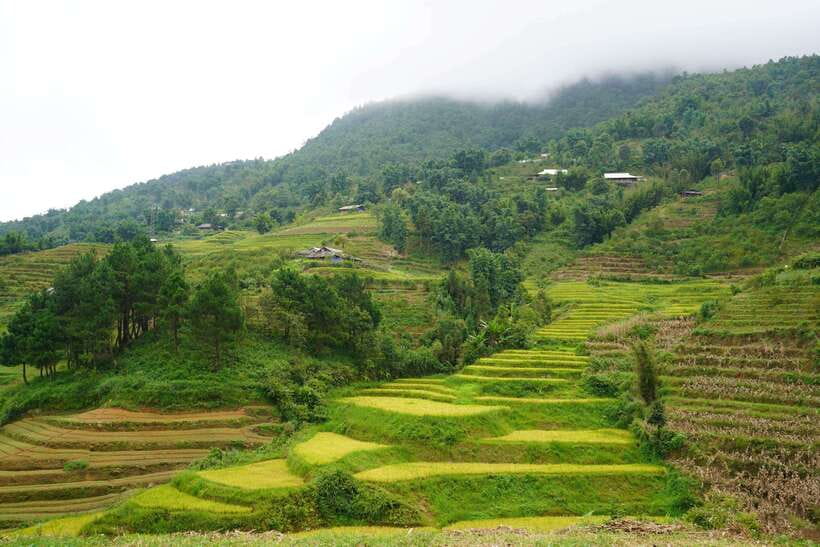 Half Day Sapa Trekking to Visit Lao Chai - Ta Van - How difficult is the 9 kilometer route?