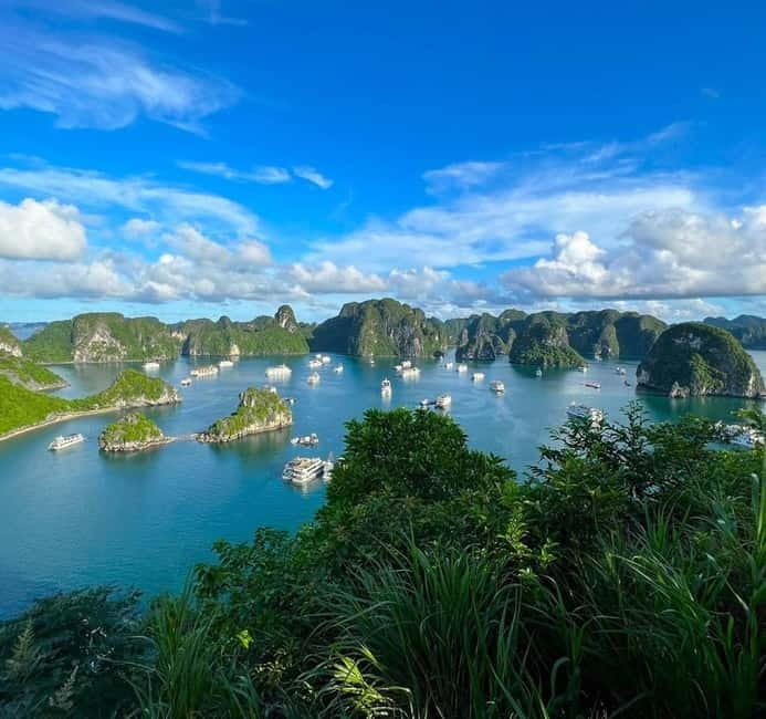 Halong 6 Hours Cruise: Kayak, Cave, Lunch, Beach & Island - Guide service, boat comfort, and the human side