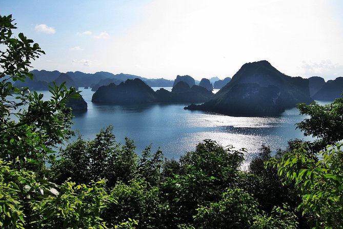Halong Bay Cruise - Day Tours - The 7:30 am Start and the Red River Delta Drive