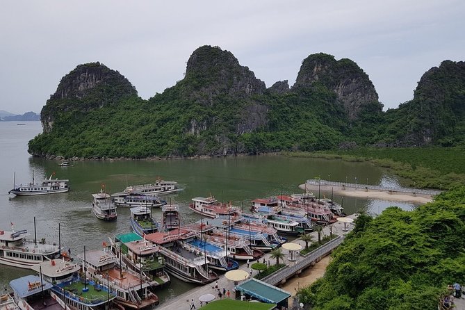 Halong Bay Cruise Tour from Hanoi with Kayak Adventure - Why this day trip works for a short Hanoi stay