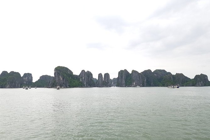 Halong Bay Cruise Tour from Hanoi with Kayak Adventure - Seafood lunch with Halong flavors