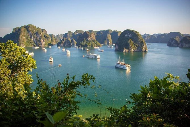 Halong Bay In Just One Day with Ti Top Island - Lunch with limestone pillars outside the window