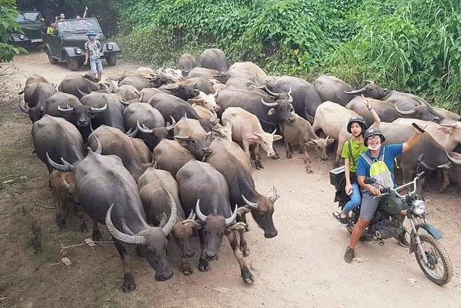Hanoi Countryside Motorbike Tour: Red River Culture & Daily Life - Six reasons this Hanoi motorbike tour earns attention