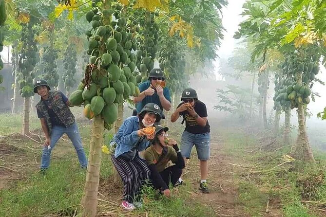 Hanoi Countryside Motorbike Tour: Red River Culture & Daily Life - Choosing between Co Loa and Bat Trang