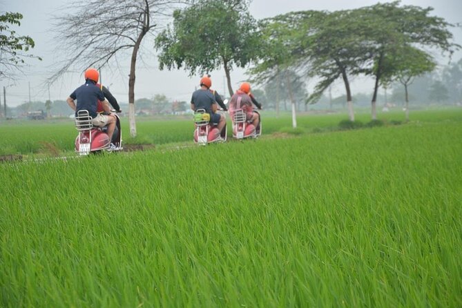 Hanoi Food Tours: Hanoi Foodie Scooter Tour Led By Women - Why a scooter is the right way to eat through Hanoi
