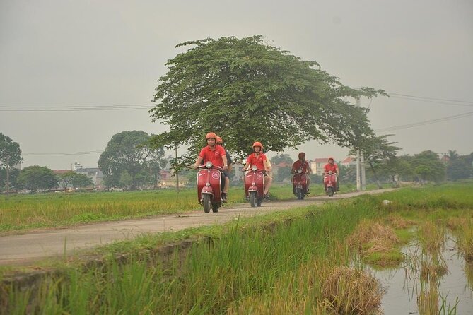Hanoi Food Tours: Hanoi Foodie Scooter Tour Led By Women - Who should book this Hanoi food tour?