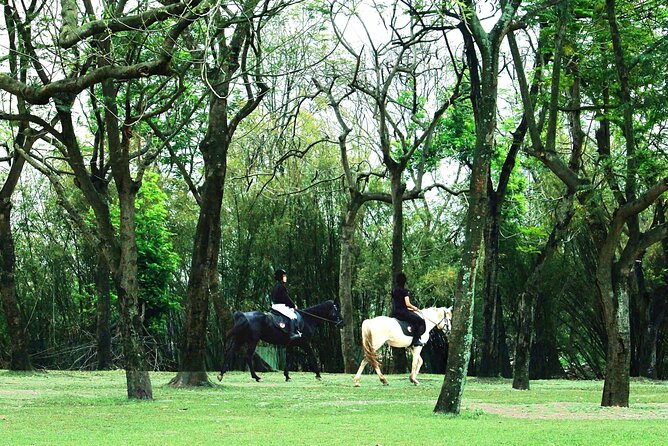 Hanoi Horseback Riding Club & Tours - Exclusive Experience - Key things to know before booking