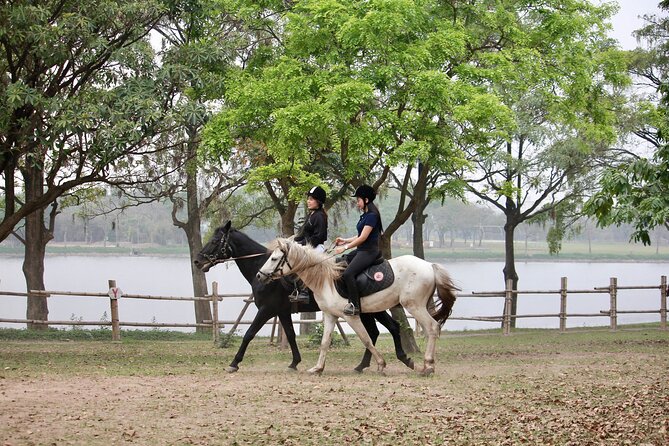 Hanoi Horseback Riding Club & Tours - Exclusive Experience - Why this is an unusual Hanoi outing