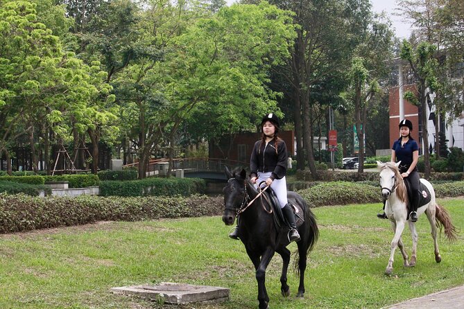 Hanoi Horseback Riding Club & Tours - Exclusive Experience - First 15 minutes: meeting the horses