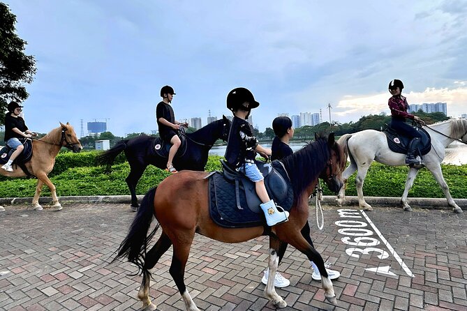 Hanoi Horseback Riding Club & Tours - Exclusive Experience - Go-karts or a quiet rest