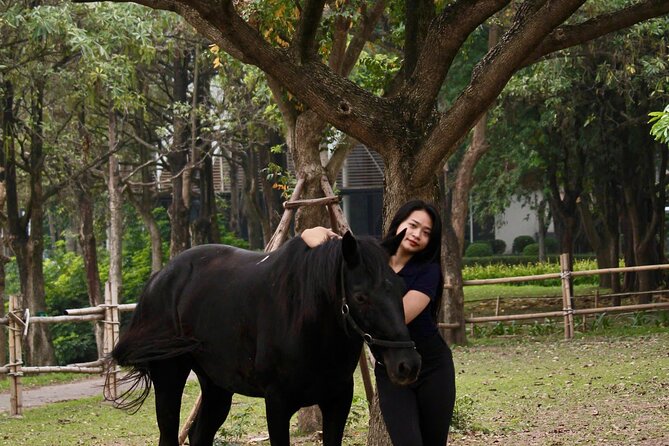 Hanoi Horseback Riding Club & Tours - Exclusive Experience - Painting, feeding, and photographs