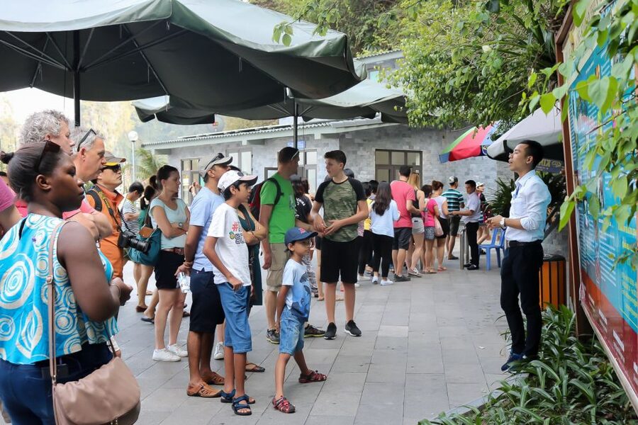 Hanoi: Islands & Caves Ha Long Cruise with Lunch & Kayaking - Guides, group atmosphere, and the private option