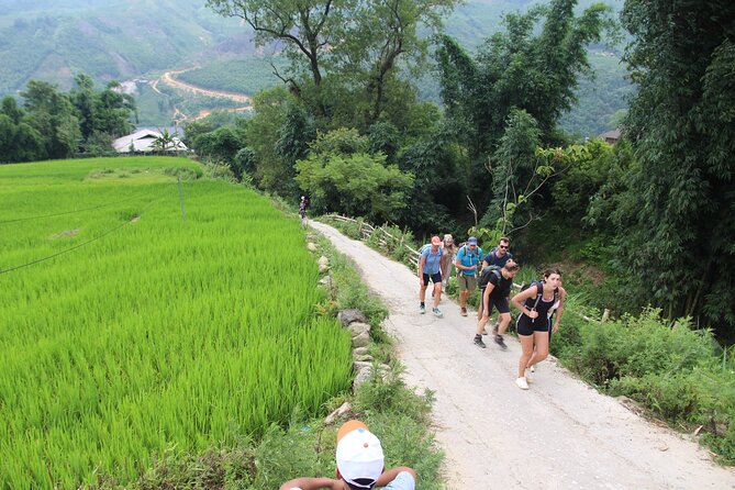 Hanoi - Sapa 2 Days 1 Night Overnight At Local Homestay - Morning walking to Giang Ta Chai and Su Pan
