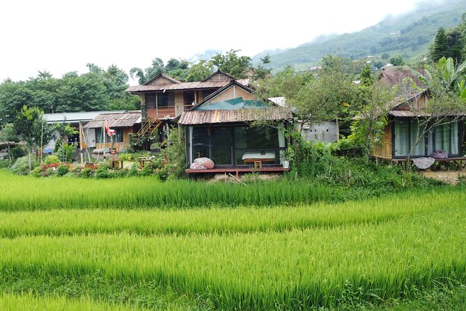 Hanoi - Sapa 2 Days 2 Nights With Fansipan by cable car - A private room and meals in Ta Van