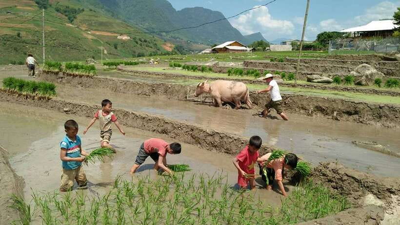 Hanoi- SaPa: 3-Day Homestay Trek to Explore Ethnic cultures - Is $139 good value?