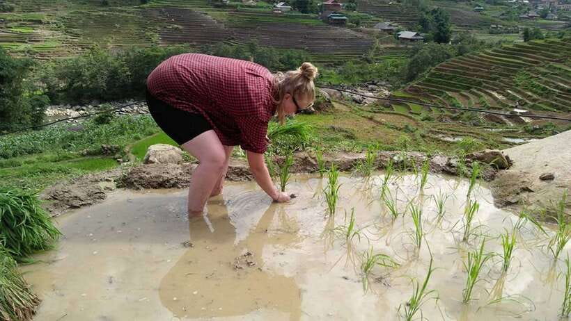 Hanoi- SaPa: 3-Day Homestay Trek to Explore Ethnic cultures - Day 1: Lao Chai, Y Linh Ho, and Ta Van
