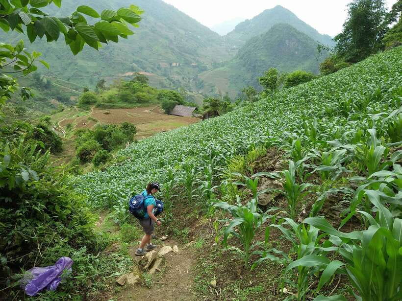 Hanoi- SaPa: 3-Day Homestay Trek to Explore Ethnic cultures - What to expect at the homestays