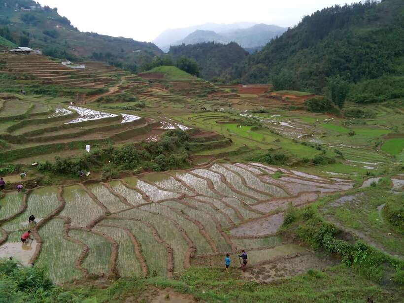 Hanoi- SaPa: 3-Day Homestay Trek to Explore Ethnic cultures - Day 3: Sunrise in Ban Ho and Nam Tong